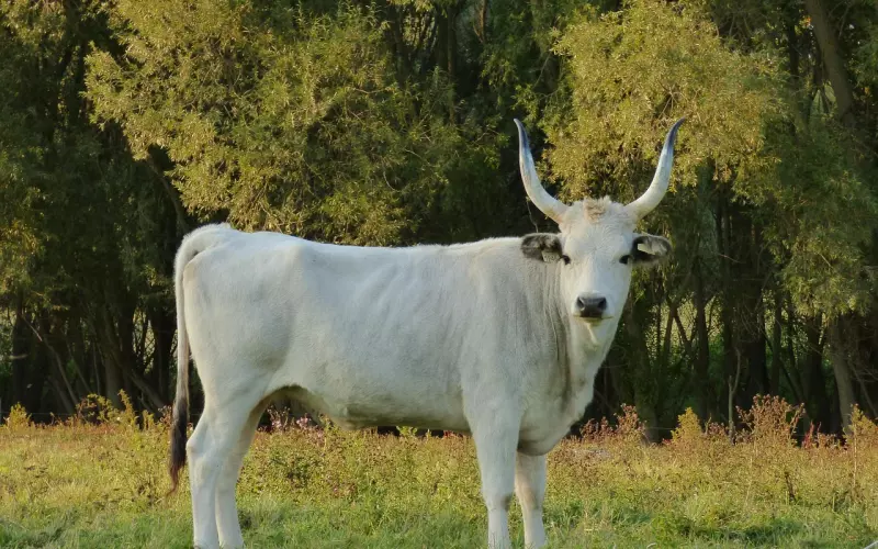 如何通过期望值管理成功挽回爱情？