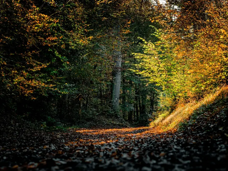 成功挽回婚姻的方法：婚姻因婆媳问题遭到危机，该怎么挽救婚姻