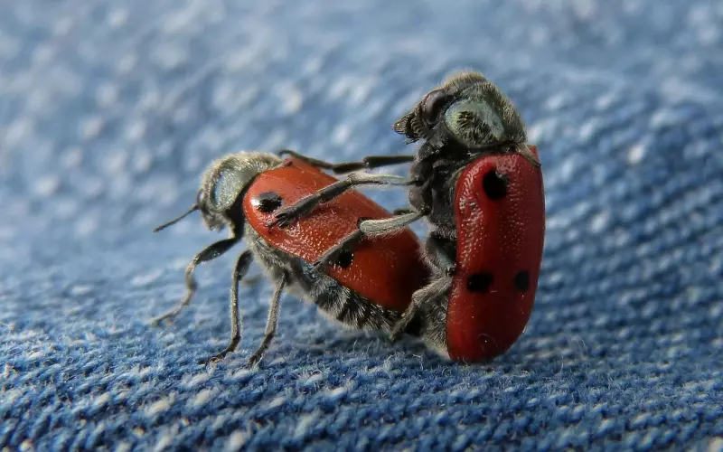 成功挽回前男友该怎么做？这四点细节你要注意