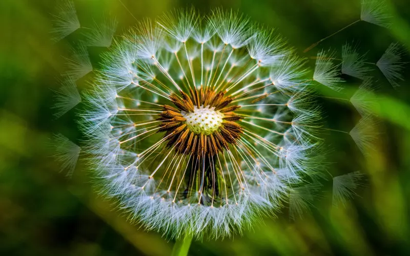 成功挽回前男友的方法：7招挽回前男友的心