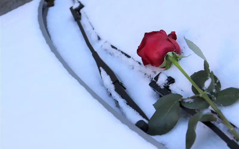 怎么判断前男友还爱你？