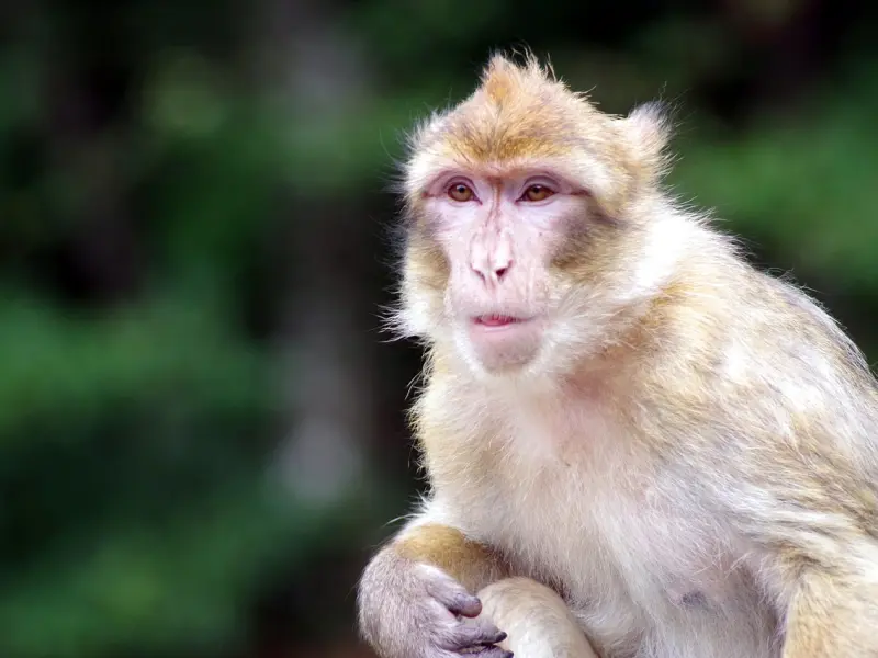 如何判断前任是否还爱你？关键看这四点！