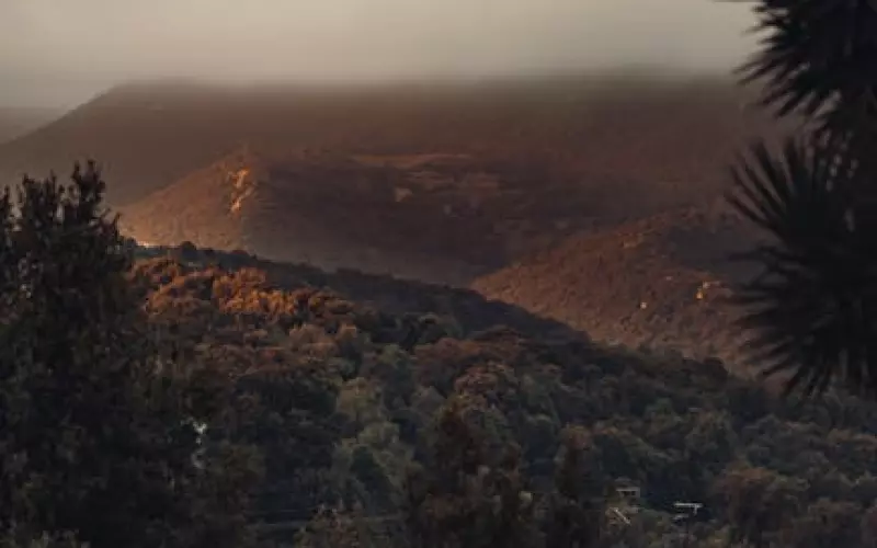 异地恋如何判断女友出轨(怎么看异地恋女友有没有出轨)