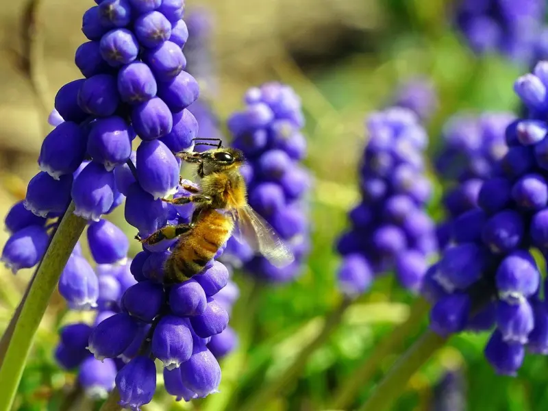 如何辨别你在和一位怎样的男人交往？