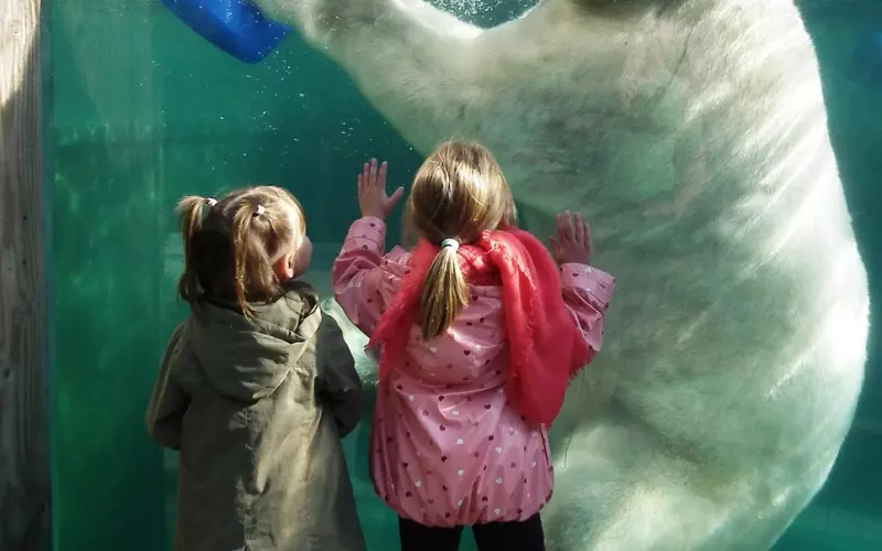 怎么跟男朋友说分手比较好，比较体面的说这几句