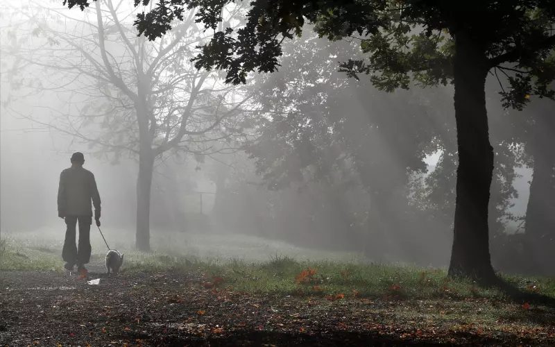 怎么试探前任没放下你，在暗示你复合