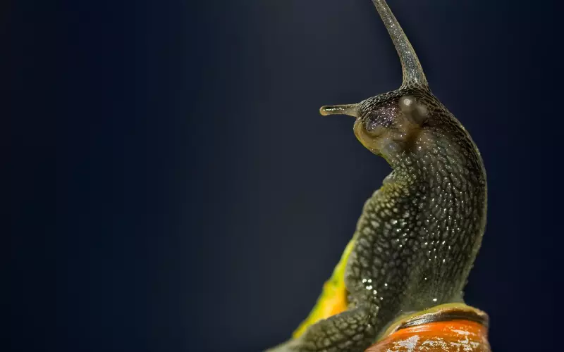 如何试探男朋友的真心？