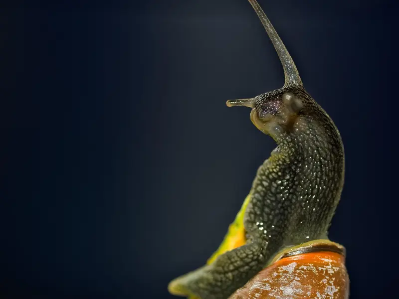 如何试探男朋友的真心？