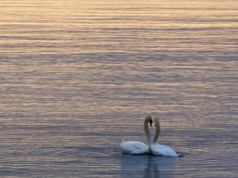 如何看待男人自慰：婚姻中，越允许越快乐，越少批判越幸福