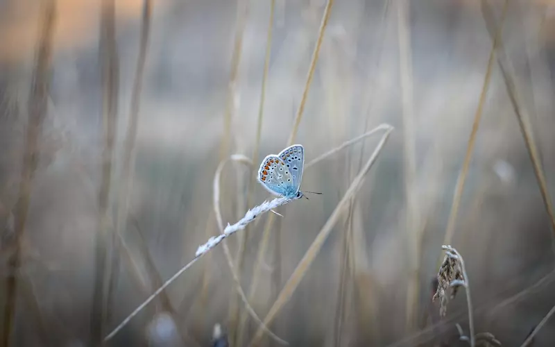 挽回爱情之再见面时如何把对方当成普通朋友？