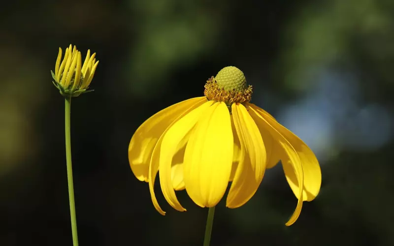 如何对待男友的红颜知己？