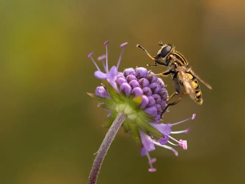 分手后，如何做到真正的断联？