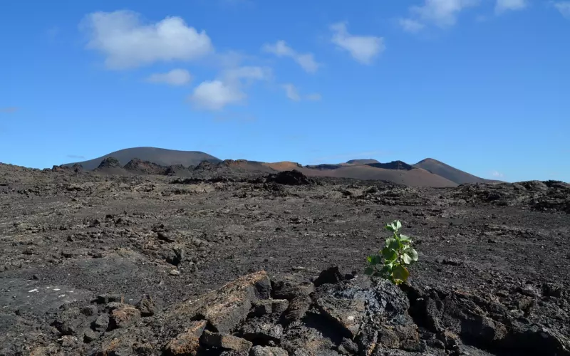 怎么让网友变男友？从朋友圈人设打造开始