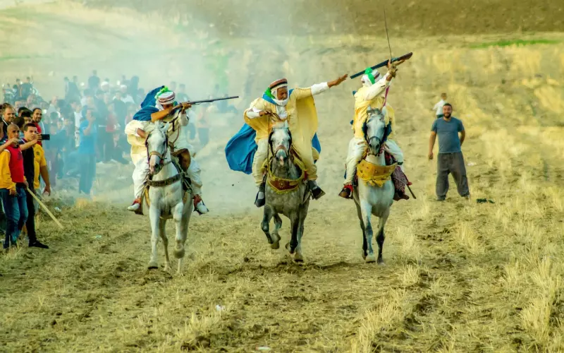 挽回中“推拉”技巧的运用以及操作？