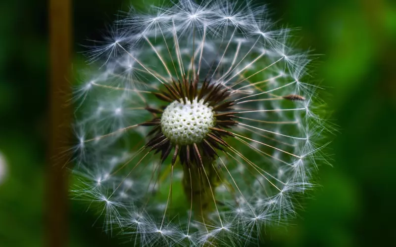 如何运用高情商挽回前男友？