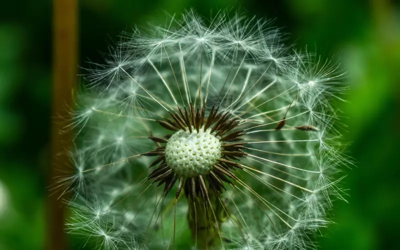 分手后怎么用高情商挽回前男友