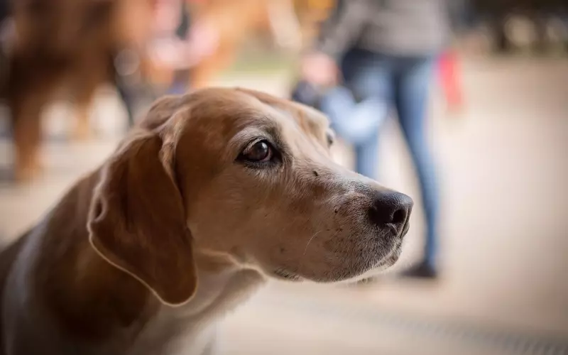 巧用朋友圈挽回男友，让你前男友主动求复合