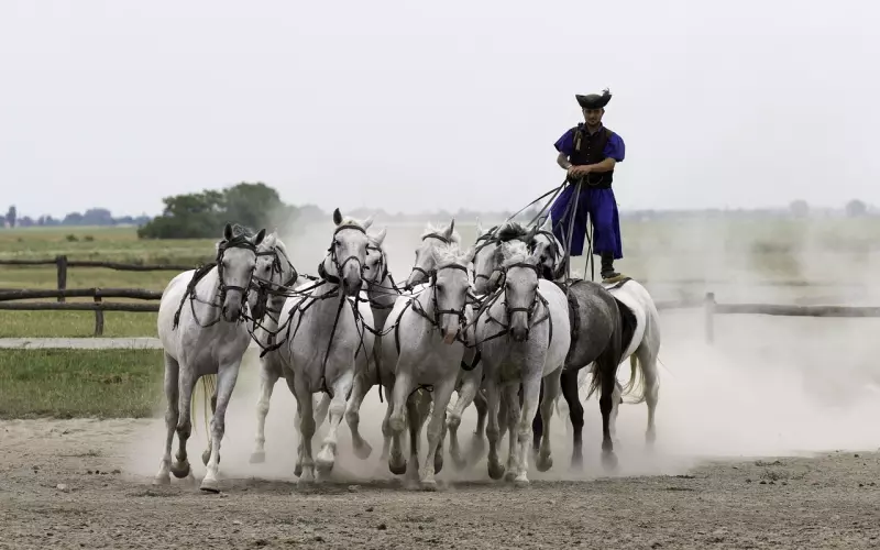 分手后如何利用二次吸引技巧挽回前男友