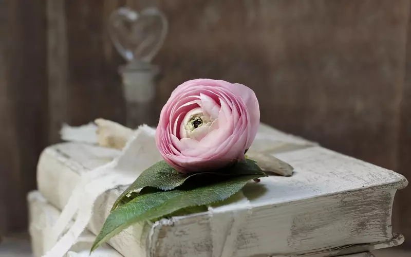 如何用恰当的话语挽回犯错的老公