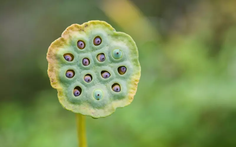 如何用恰当的话语挽回丈夫心中的大老婆