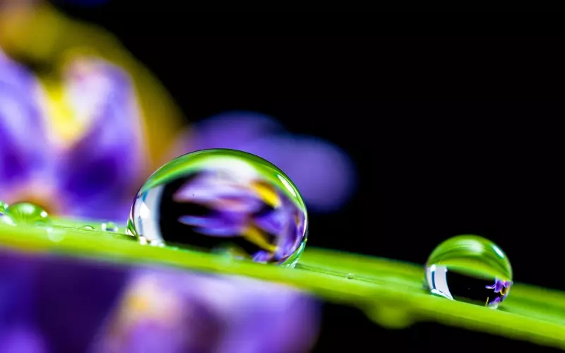 如何微信挽回一段感情