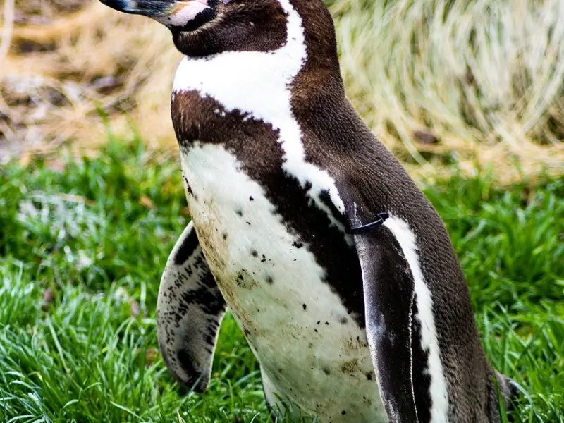 怎样“要”宠爱，男人不会厌烦？