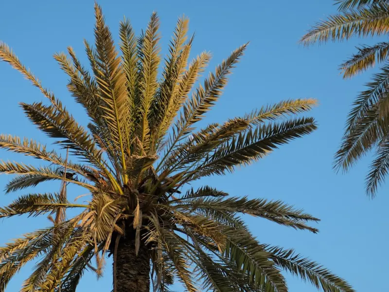 如何挽回男人的心