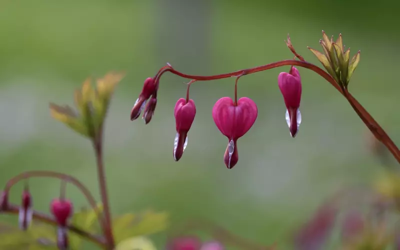 如何挽回男人的心