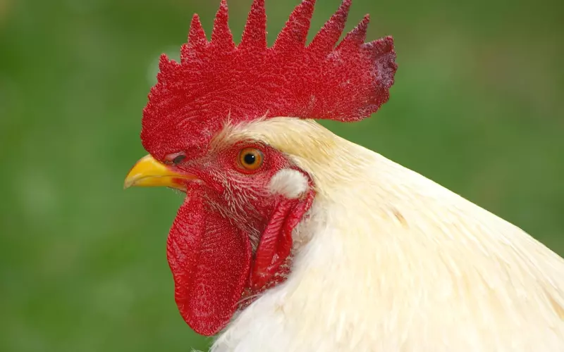 如何挽回闷骚男?走进闷骚男的内心世界去打动他!