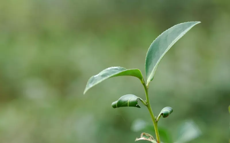如何挽回要一心分手的男友