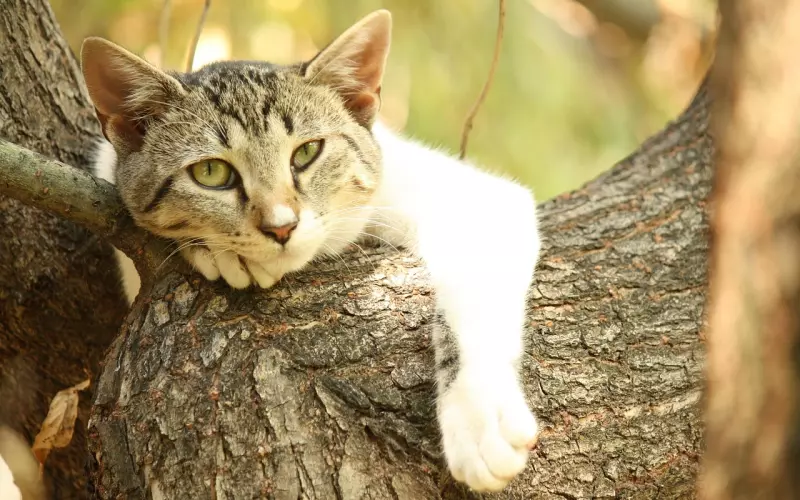 如何挽回绝情分手的男友