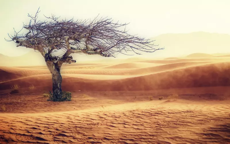 如何挽回伤透了心的女孩