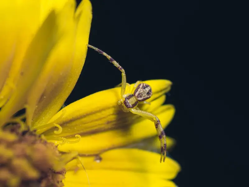 如何挽回死心的巨蟹男，适合挽回巨蟹座的方法，超高几率挽回！