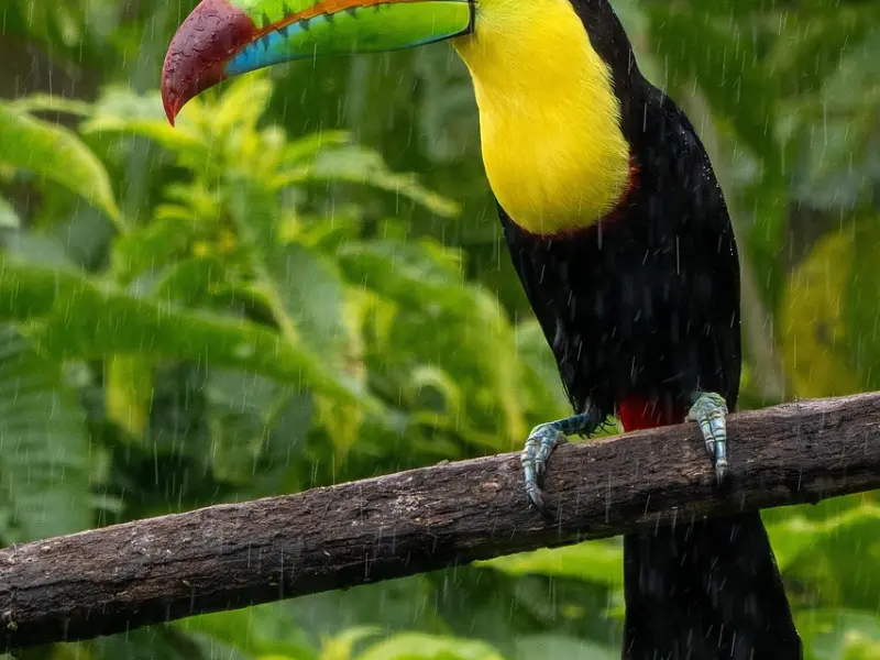 如何挽回巨蟹座男友：挽回巨蟹座女友的芳心，试试这几招