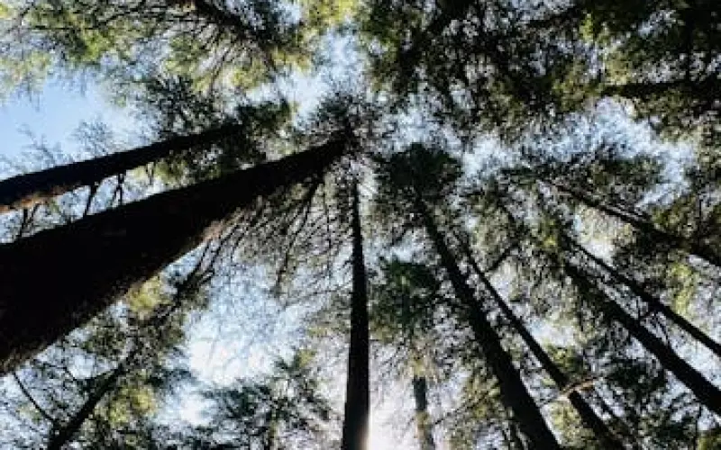 如何挽回有女朋友的巨蟹座男(怎么挽回巨蟹座男朋友)