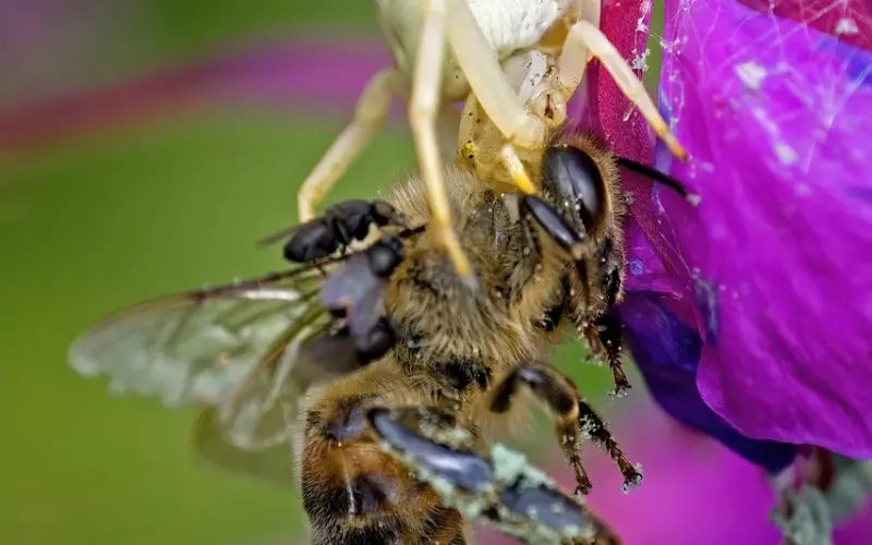 如何挽回巨蟹座男生？专业情感修复指南！