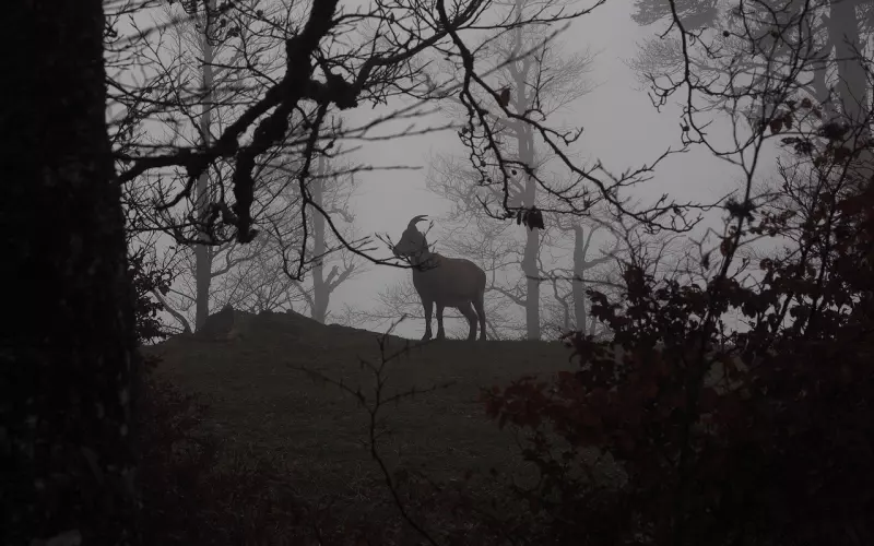 怎么挽回摩羯座男友呢？魔羯男对人生很有规划的，如何挽回他的爱