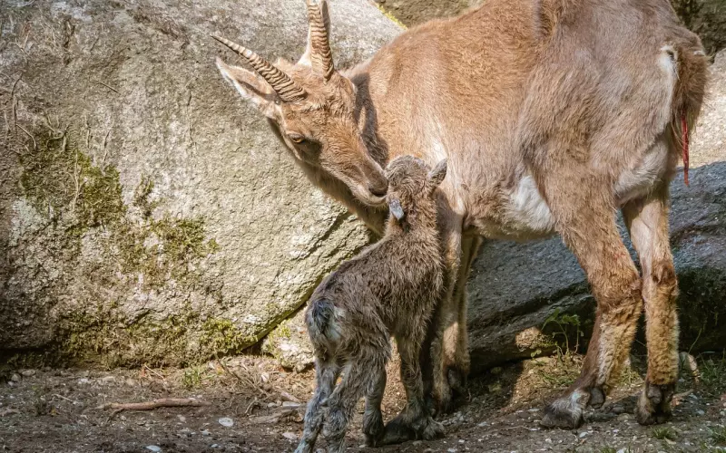 如何挽回摩羯座男朋友？支招7招挽回摩羯男友的心
