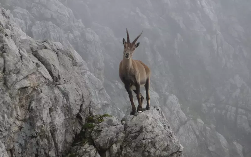 怎么挽回摩羯男？7招挽回摩羯男友的心