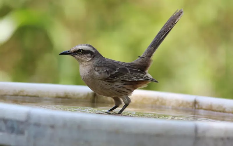 有外遇的老公该如何挽回：教你了解出轨男人的心理，挽回出轨的老公