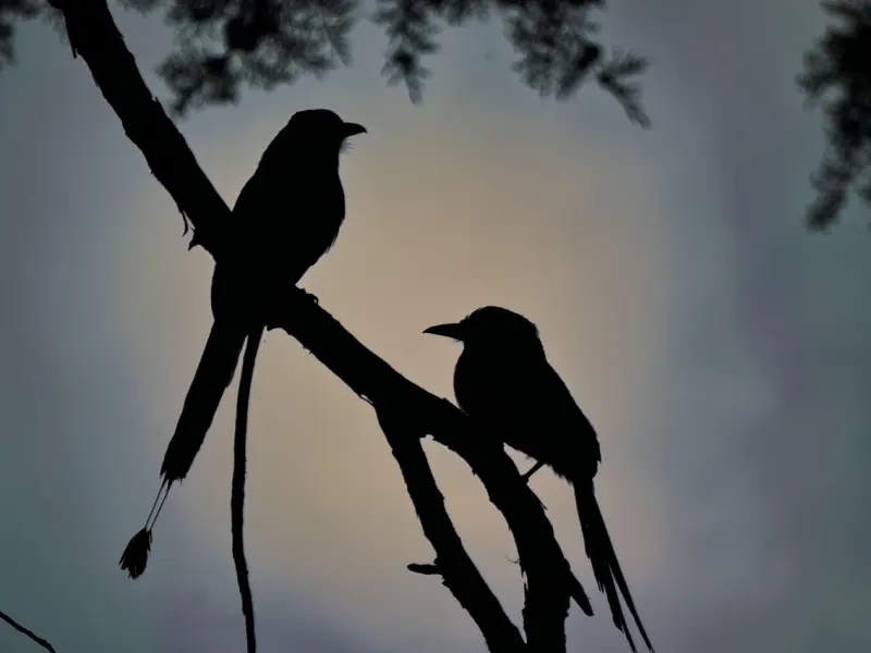 怎么挽回出轨的老公？聪明的女人会这么挽回婚姻，不要傻傻不知道