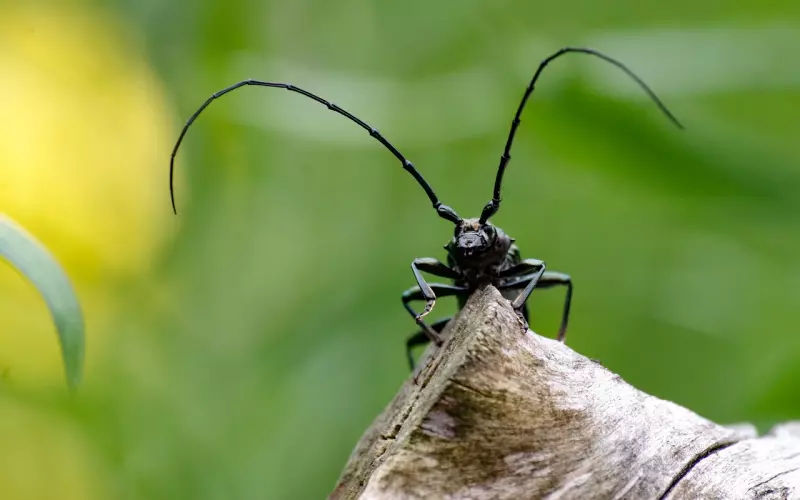 怎么挽回出轨的老公，想挽回老公，这样挽回才是有效的