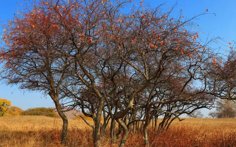 离婚后怎么挽回死心的老公(妻子死心要离婚怎样正确挽回)
