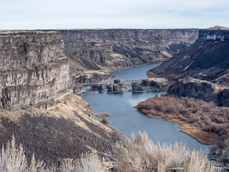 应该怎么挽回双子座：这三招学会双子绝舍不得失去你！
