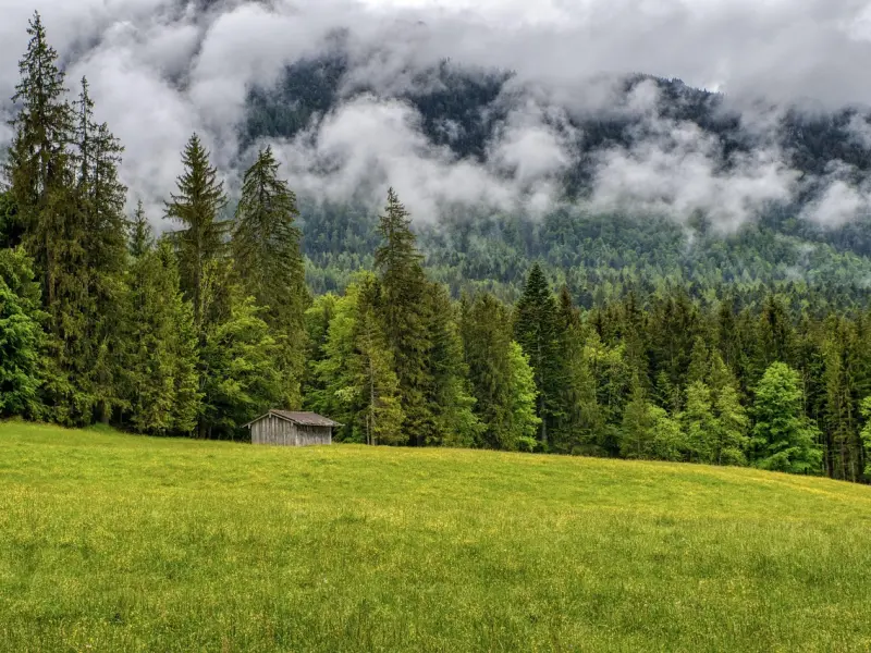 如何挽回被自己伤害过的女友，时间上需要一个过程