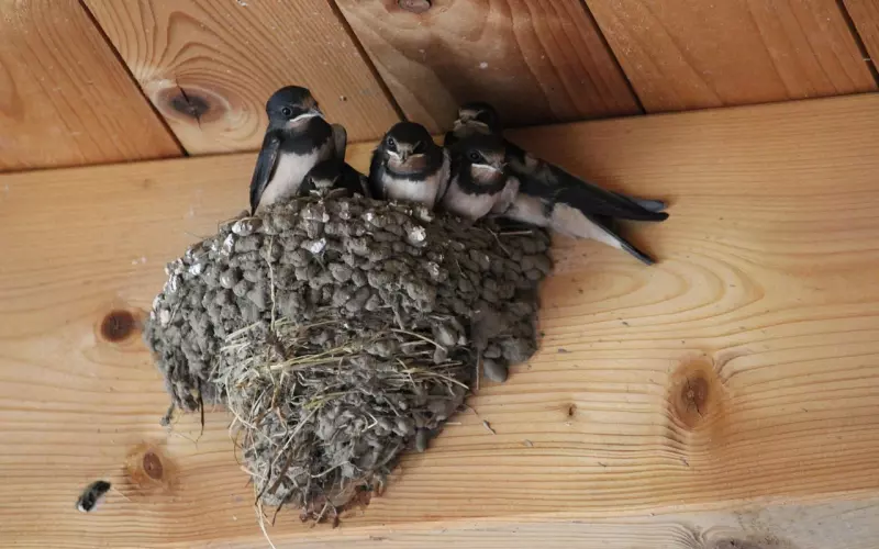 如何挽回伤透心的老公：学会这三招挽回老公，将幸福重新开始