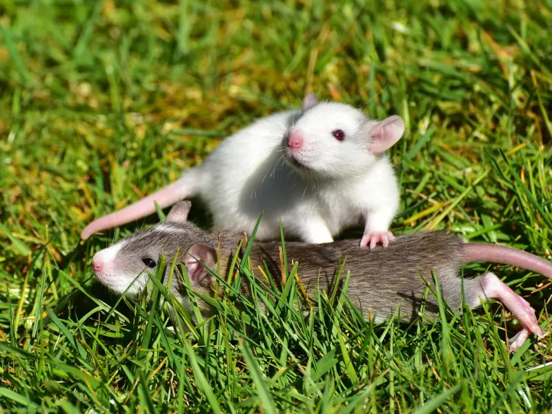 有外遇的老公怎么挽回：老公有了第三者，需要多久才能挽回老公的心