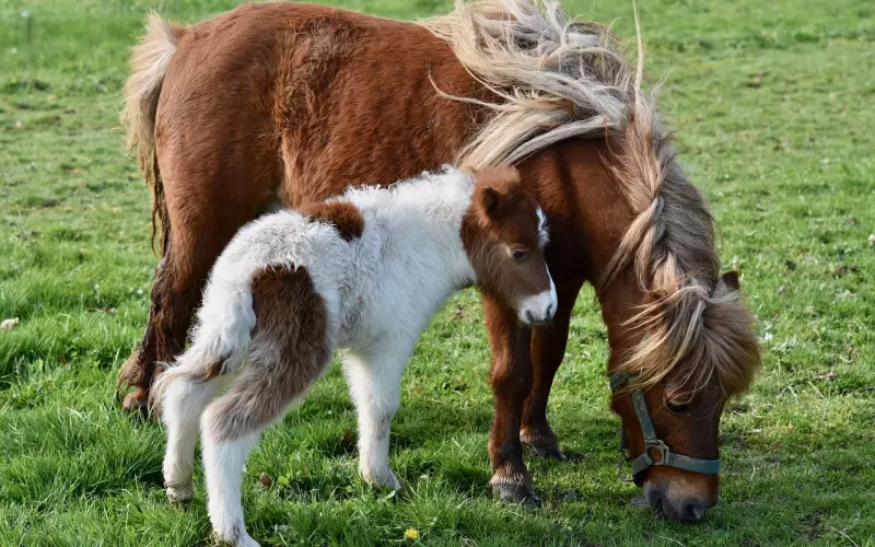 怎样挽回天秤男朋友？感情能经得住考验，得这样做