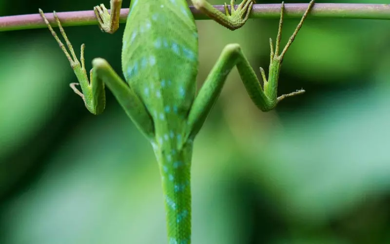 如何挽回天秤前男友：切记和天秤男计较