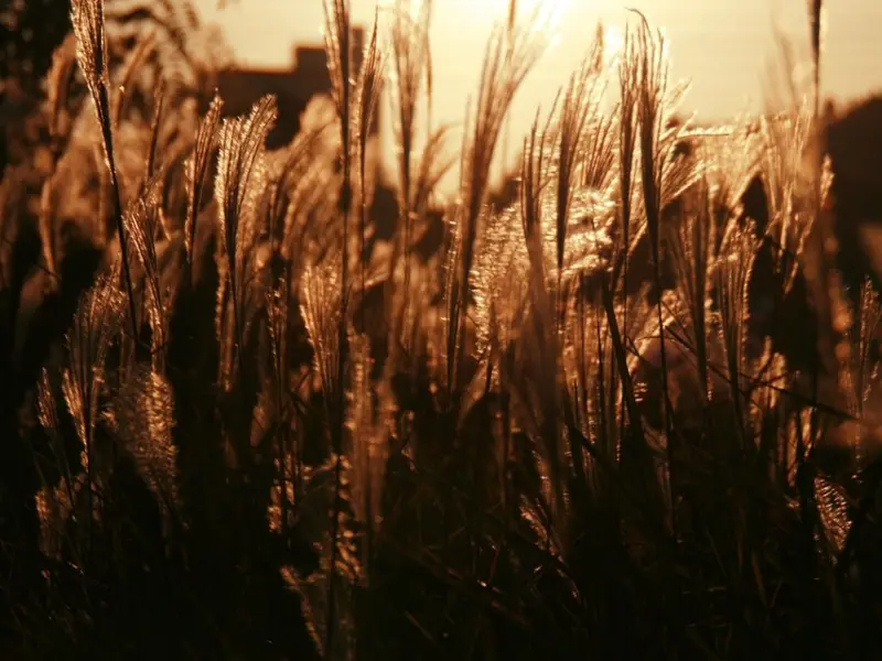 如何挽回失去的男友之挽回天蝎男哪招最管用